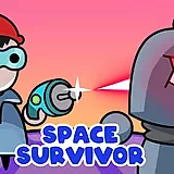 play Space Survivor